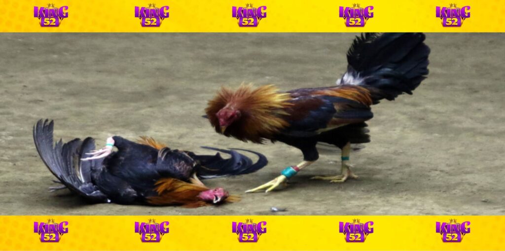 Thắc mắc của người chơi sẽ được giải đáp